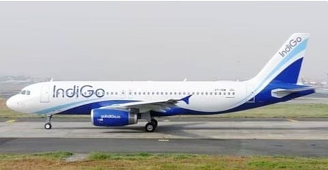दिल्लीला जाणार्या इंडिगो विमानाला पक्ष्याची धडक, भुवनेश्वरमध्ये इमर्जन्सी लँडिंग