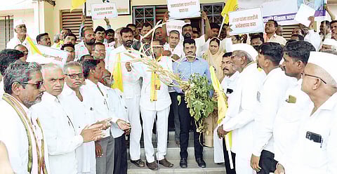 शेवगाव : जळालेली पिके तहसीलदारांना भेट!