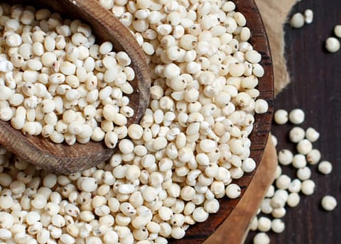 ज्वारीला उच्चांकी 5 हजार 301 रुपये दर