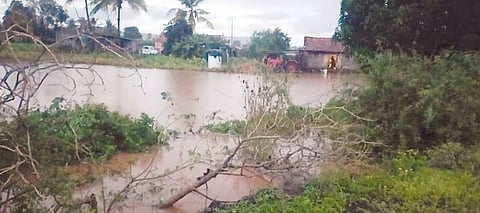 Pune Rain news : काठापूर येथे ढगफुटीसदृश पाऊस शेती पिकांचे नुकसान