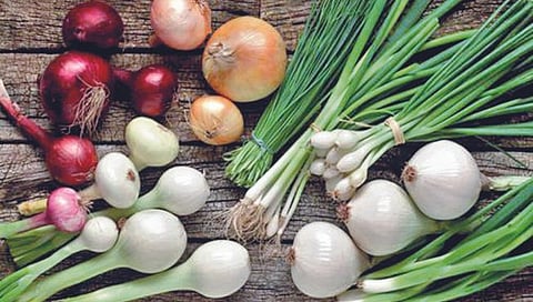 Health Benefits of Onions | कांदा आहे हृदयाचे टॉनिक, जाणून घ्या त्याचे आरोग्यलाभ