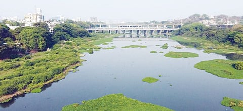 Pimpri News : कंपन्यांकडून रासायनिक सांडपाणी माहितीची लपवालपवी