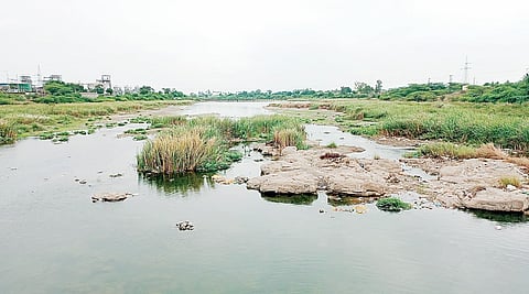 Nira River : तुडुंब वाहणारी निरा नदी यंदा ओस; निरा खोर्यातील धरणांमध्ये 89 टक्के साठा