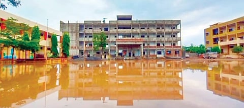 नगर तालुक्यात पावसाची जोरदार बॅटिंग; शेतकर्यांमध्ये समाधान