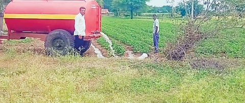 बटाटा पिकाला टँकरने पाणी ; पाणीटंचाईत पीक वाचविण्यासाठी शेतकर्यांची धडपड