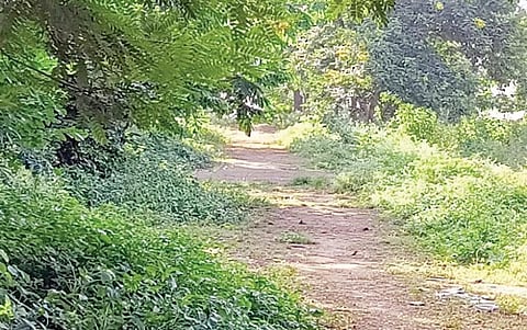 आकुर्डी : स्मार्ट सिटीत जॉगिंग ट्रॅकची पुरती ‘वाट’