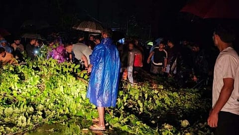 झाड अंगावर कोसळून २ जण ठार