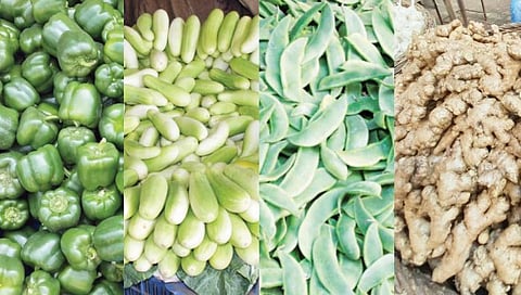 पुणे : फळभाज्यांची स्वस्ताई