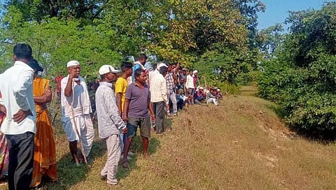 चंद्रपूर: वरोरा तालुक्यात वाघाच्या हल्ल्यात शेतकरी ठार