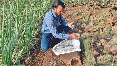 Kolhapur News | कोल्हापुरातील ‘सोन्याचा पाऊस पडणारे गाव’ प्राचीन काळी होते युद्धभूमी – संशोधनातील निष्कर्ष