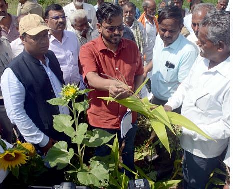 बेळगाव जिल्ह्यात २.७८ लाख हेक्टर पिकांचे नुकसान; जिल्हाधिकाऱ्याची माहिती