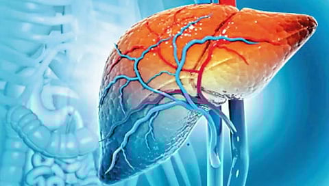 हेपेटायटिस व्हायला नको, तर जाणून घ्या यकृत तंदुरुस्त ठेवण्याच्या टिप्स