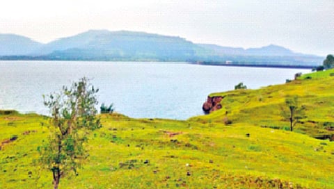 सातारा जिल्ह्यातील धरणे 85 टक्क्यांवरच