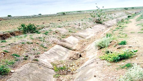 सांगली : पाणी पेटलेलेच; नेते राजकीय धुळवडीत