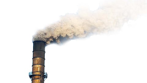 ‘दालमिया’च्या राखेमुळे शेतीची राखरांगोळी!