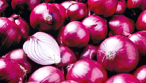 सोलापूर : कांद्याचा सरासरी भाव 3000