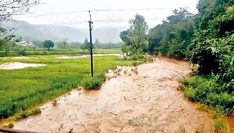 सांगली जिल्ह्यात सर्वत्र संततधार