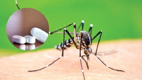 डेंग्यूविरुद्ध लढाईत मिळणार लक्षवेधी यश!