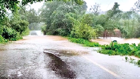 Kolhapur monsoon pattern is changing