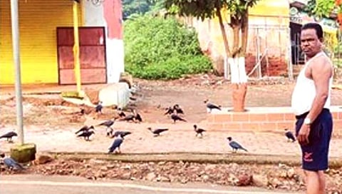 Pitru Paksha : पितृपक्षात नव्हे तर वर्षभर कावळ्यांना खाऊ घालणारा अवलिया