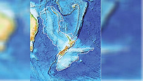 ‘झिलँडिया’मुळे उलगडले कोट्यवधी वर्षांपूर्वीचे रहस्य!