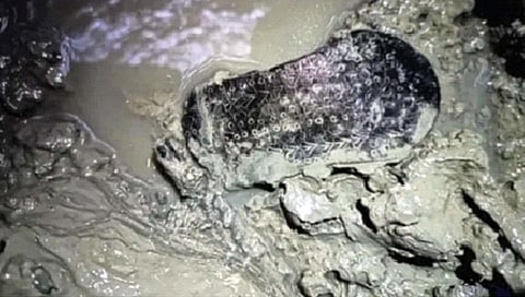 दोन हजार वर्षांपूर्वीच्या रोमन सँडलचा शोध