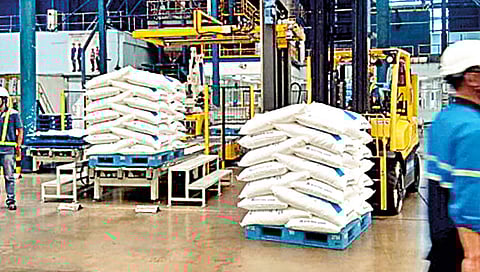 साखर उत्पादनापुढील समस्या!