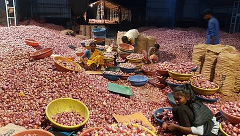 Onion News : कांदा बाजारभावात घसरण सुरूच, दर 3,700 रुपयांच्या आत