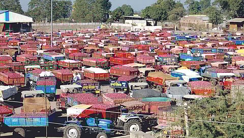 Nashik Onion News : तेरा दिवसांनंतर अखेर कांदाकोंडी फुटली, आजपासून जिल्ह्यात लिलाव पूर्ववत