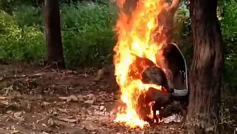 Nashik Crime : सिडकोत घरासमोर पार्क केलेली दुचाकी जाळली, अजिंक्य व्हिलेज परिसरातील घटना