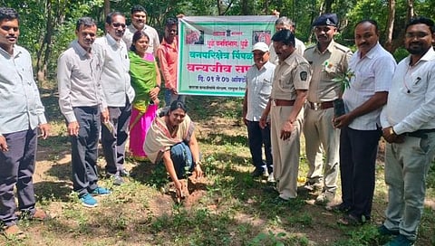 धुळे : धमनार येथे वन्यजीव सप्ताह साजरा, वृक्षारोपणही करण्यात आले
