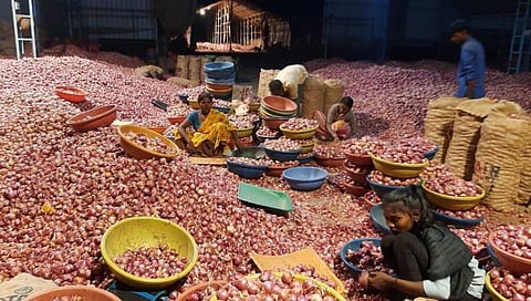 Onion Price : बारा दिवसांत कांदा दरात 65 टक्के वाढ, मात्र वाढलेल्या दराचा शेतकऱ्यांना फायदा नाहीच
