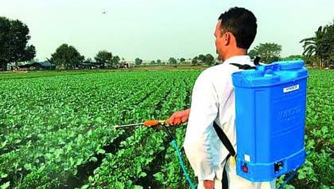 Nashik News : कीटकनाशकाची बेकायदेशीर विक्री करणाऱ्यांना बेड्या