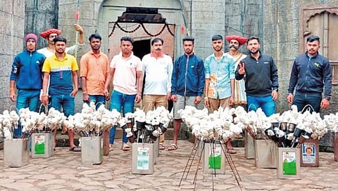 सातारा : किल्ले प्रतापगडावर आज मशाल महोत्सव