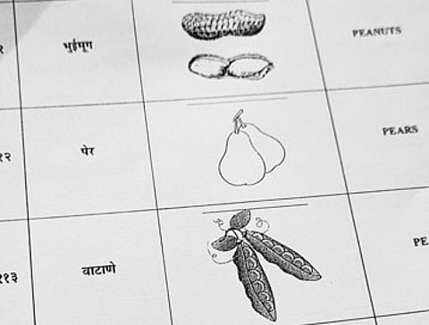 फळे, भाज्यांसह जेवणाची थाळी घेऊन लढा निवडणूक