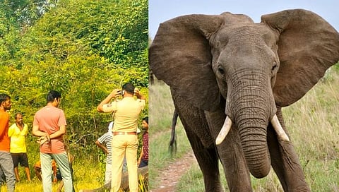 चंद्रपूरातील ‘त्या’ हत्तीचा विद्युत शॉक लागून मृत्यू
