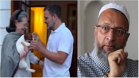 ‘हा मुस्लिम तरुणींचा अपमान’ : राहुल गांधींच्या कुत्रीला इस्लामिक नाव; AIMIMची टीकेची झोड