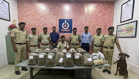 जळगाव : सिंकदराबादकडे जाणाऱ्या रेल्वेगाडीतून २ लाख ६२ हजारांचा गांजा जप्त