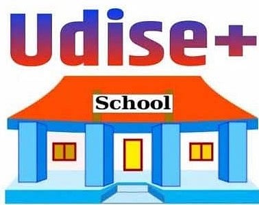 Pune News : विद्यार्थ्यांचा रक्तगट; शिक्षकांची झुंज, यू-डायस’ची माहिती रखडली