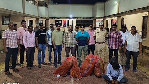 सातारा: म्होप्रे येथे सव्वा लाखाचा गांजा पकडला