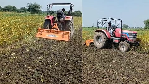 चंद्रपूर : शेतकऱ्याने ९ एकरातील सोयाबीनवर फिरविला ट्रॅक्टर