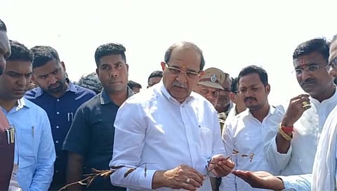 चंद्रपूर: महसूलमंत्री सोयाबीन, कापूस उत्पादकांच्या बांधावर