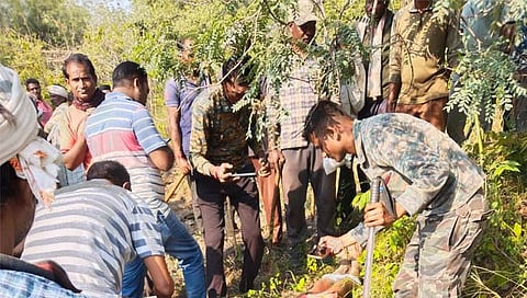 चंद्रपूर: वाघाच्या हल्यात विहीरगाव येथील गुराखी ठार