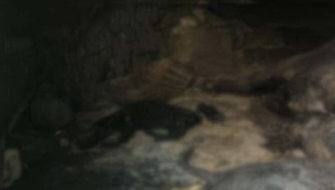 कोल्हापूर: खणदाळ येथे गोठ्यात श्वास गुदमरून ७ जनावरांचा मृत्यू