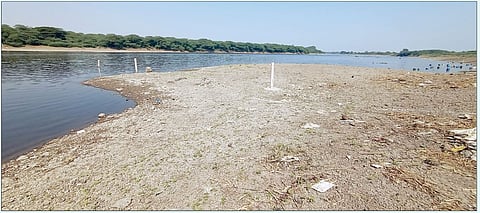 बागायती भागाला लवकरच बसणार दुष्काळाच्या झळा; दौंड तालुक्यातील नदीच्या पाणीपातळीत घट