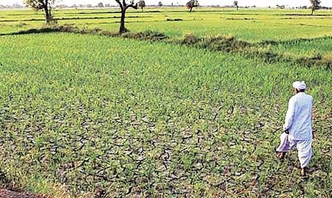 राज्यातील 42 तालुके दुष्काळग्रस्त! तीव्रता तपासणार