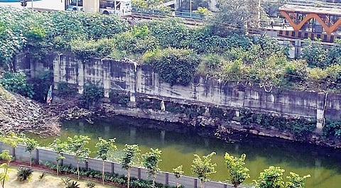 Pimpri News : डबक्यामुळे डासोत्पत्ती; रहिवाशांचे आरोग्य धोक्यात