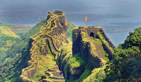 Rajgad Bee attack : राजगडावर मधमाश्यांचा हल्ला; पंचवीसहुन अधिक पर्यटक जखमी