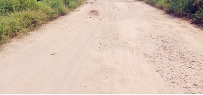 Pimpri News : येलवडी फाटा रस्ता बनला मृत्यूचा सापळा