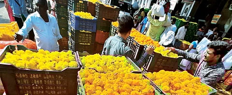 दसऱ्यासाठी राज्यभरातून पुण्यात अडीच लाख किलो झेंडू अन् दीड लाख किलो शेवंती